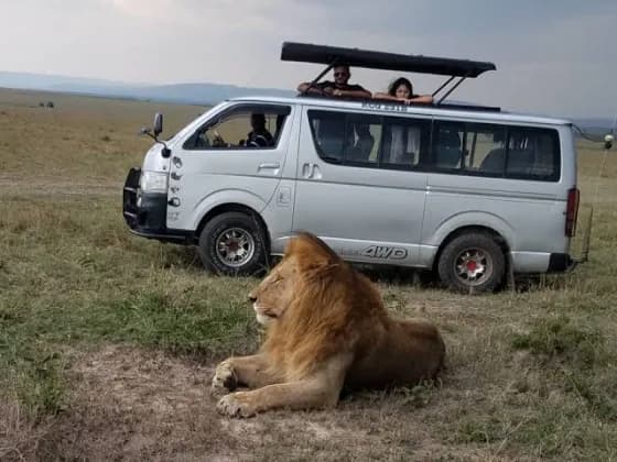 Safari van