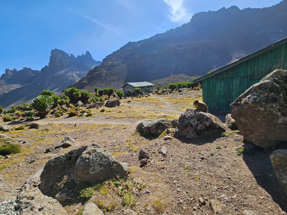 About Go To Mount Kenya Adventures