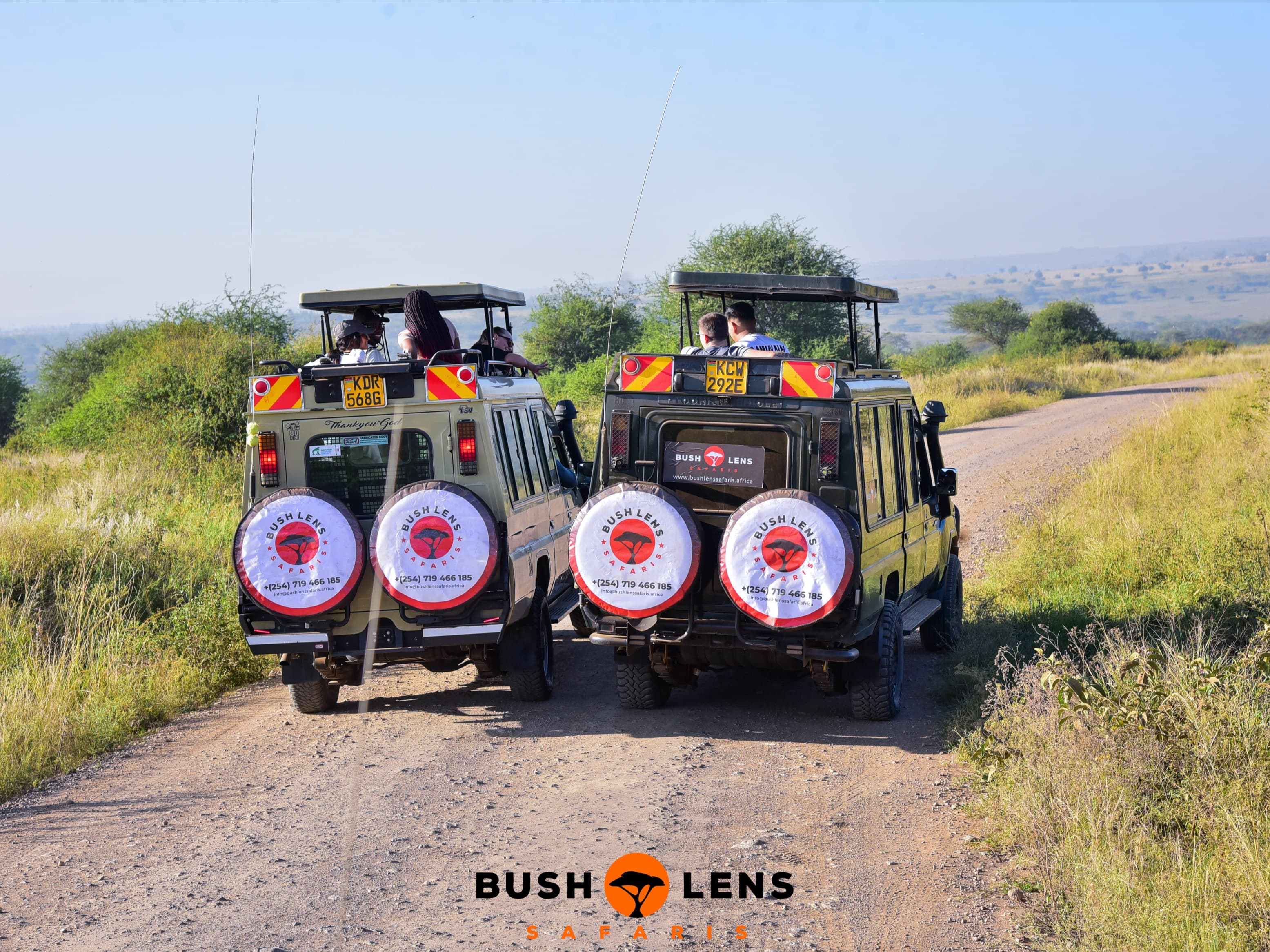 About Bush Lens Safaris Ltd