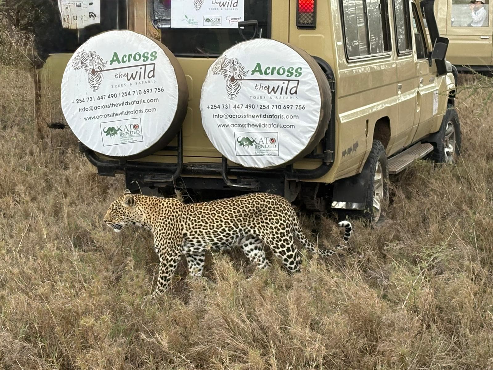 About Across The Wild Safaris