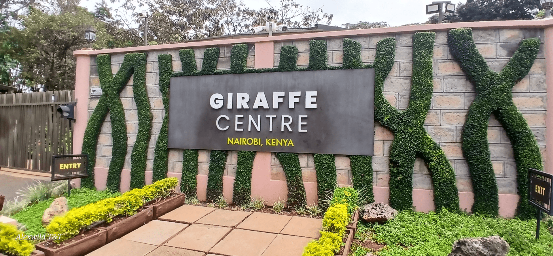 The Giraffe Centre in Nairobi is a popular conservation and educational attraction where visitors can get close to the endangered Rothschild’s giraffes. Located in a peaceful natural setting, it offers a unique chance to feed giraffes from an elevated platform, learn about wildlife conservation, and enjoy nature walks in the surrounding forest. – by Alex Mwaniki