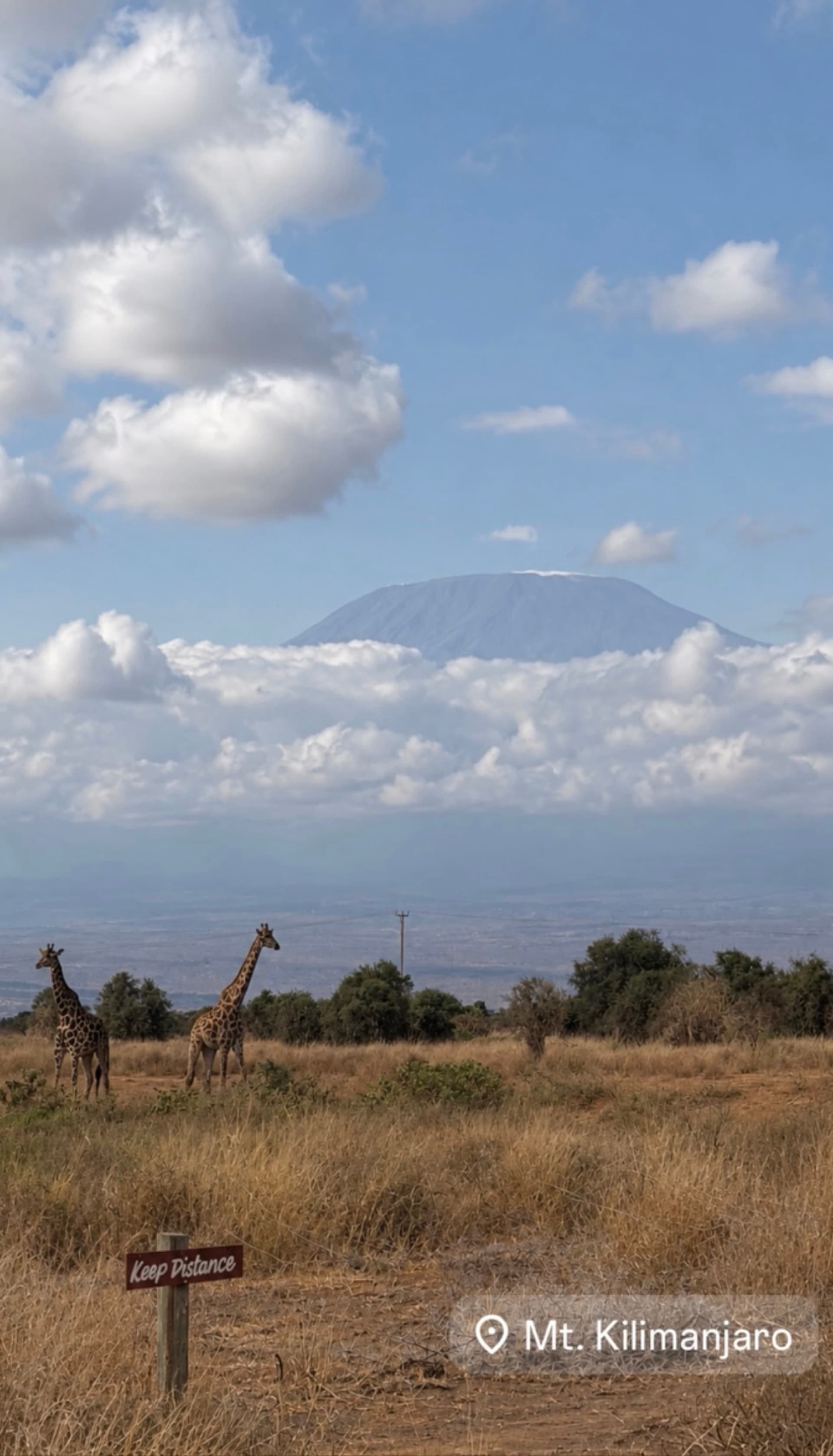 Two giraffes, one legendary mountain, and a whole lot of Africa. 🦒❤️ – by Brian Karanja