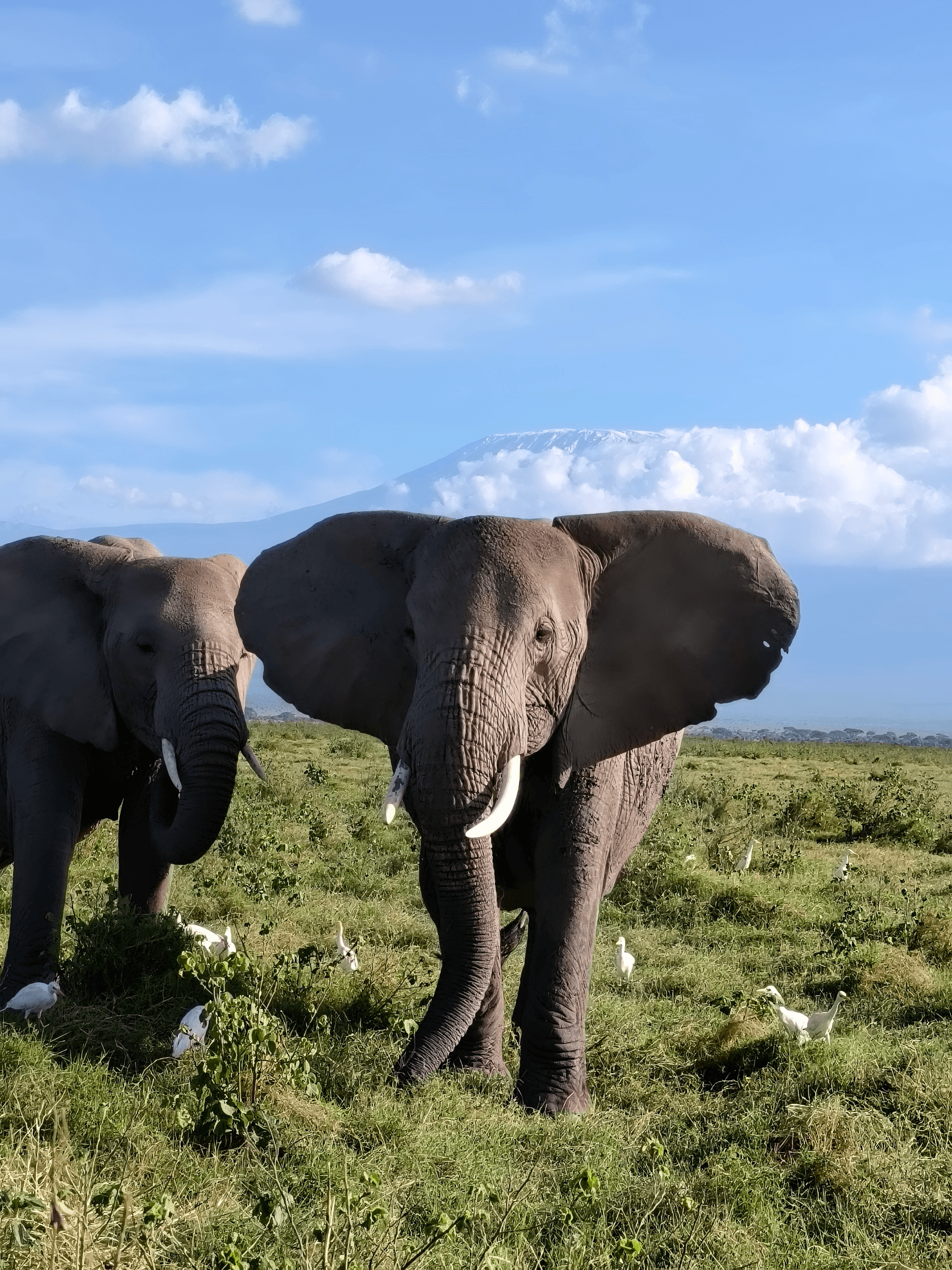 Frank Kioko's story on Join Africa