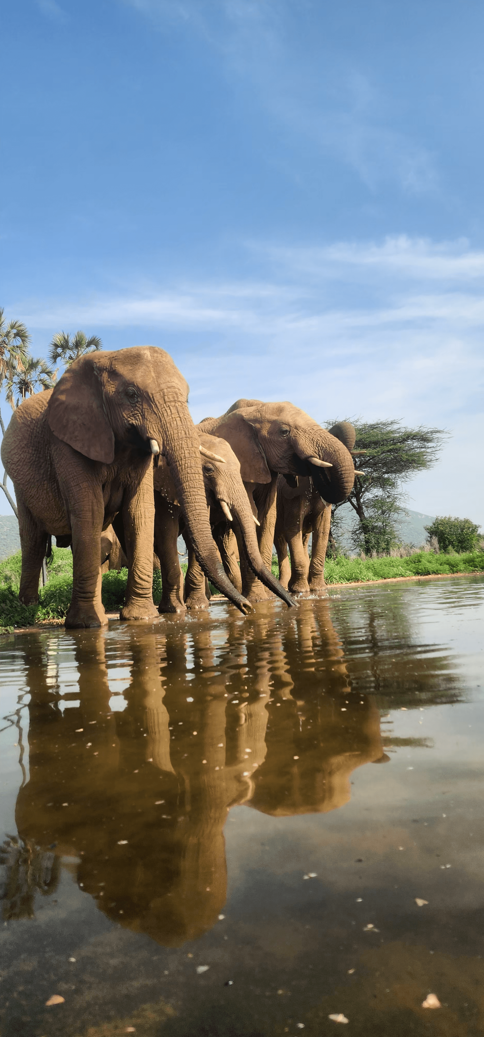 Jesse Saitoti's story on Join Africa
