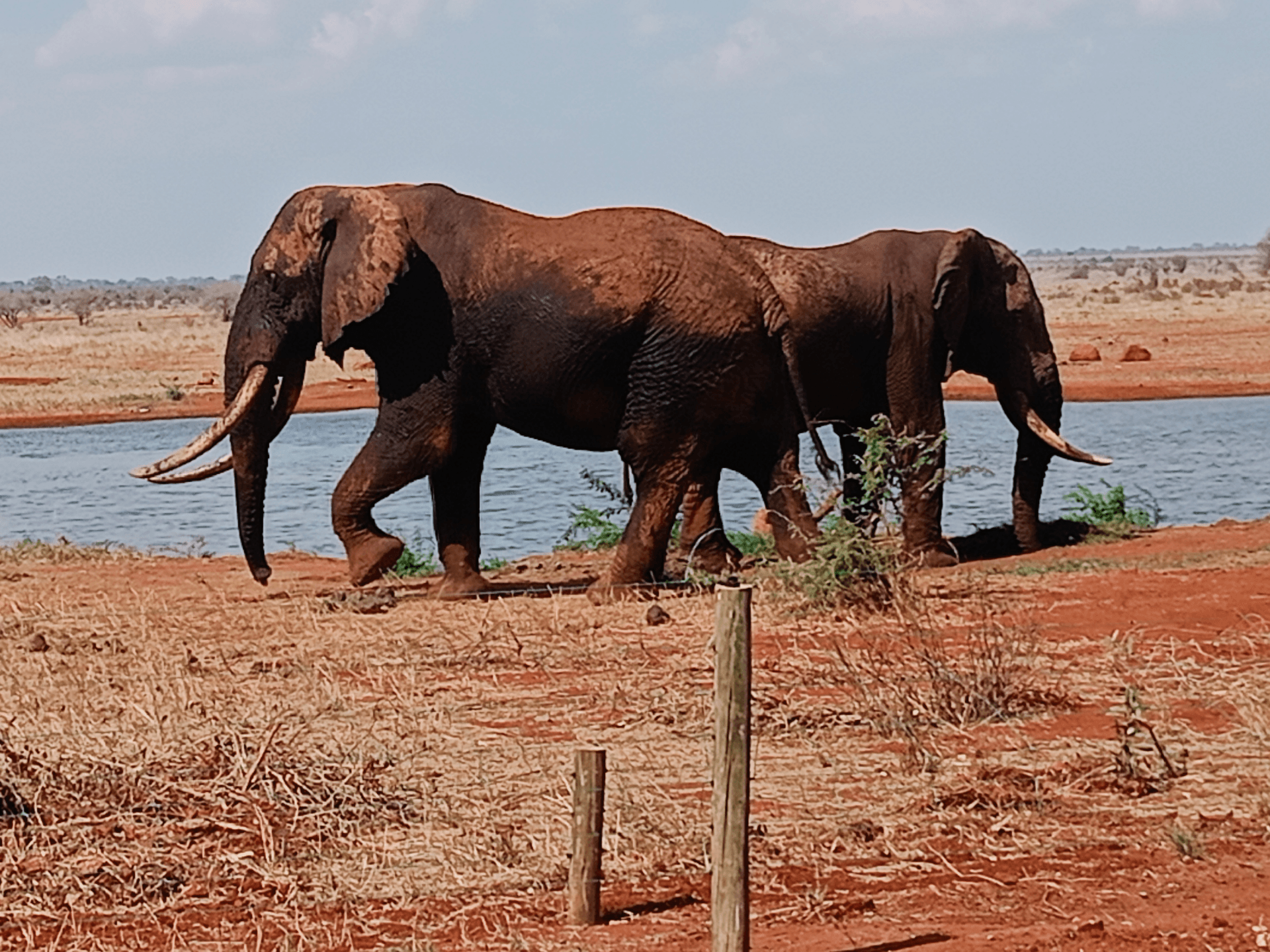 Martin Kioko's story on Join Africa