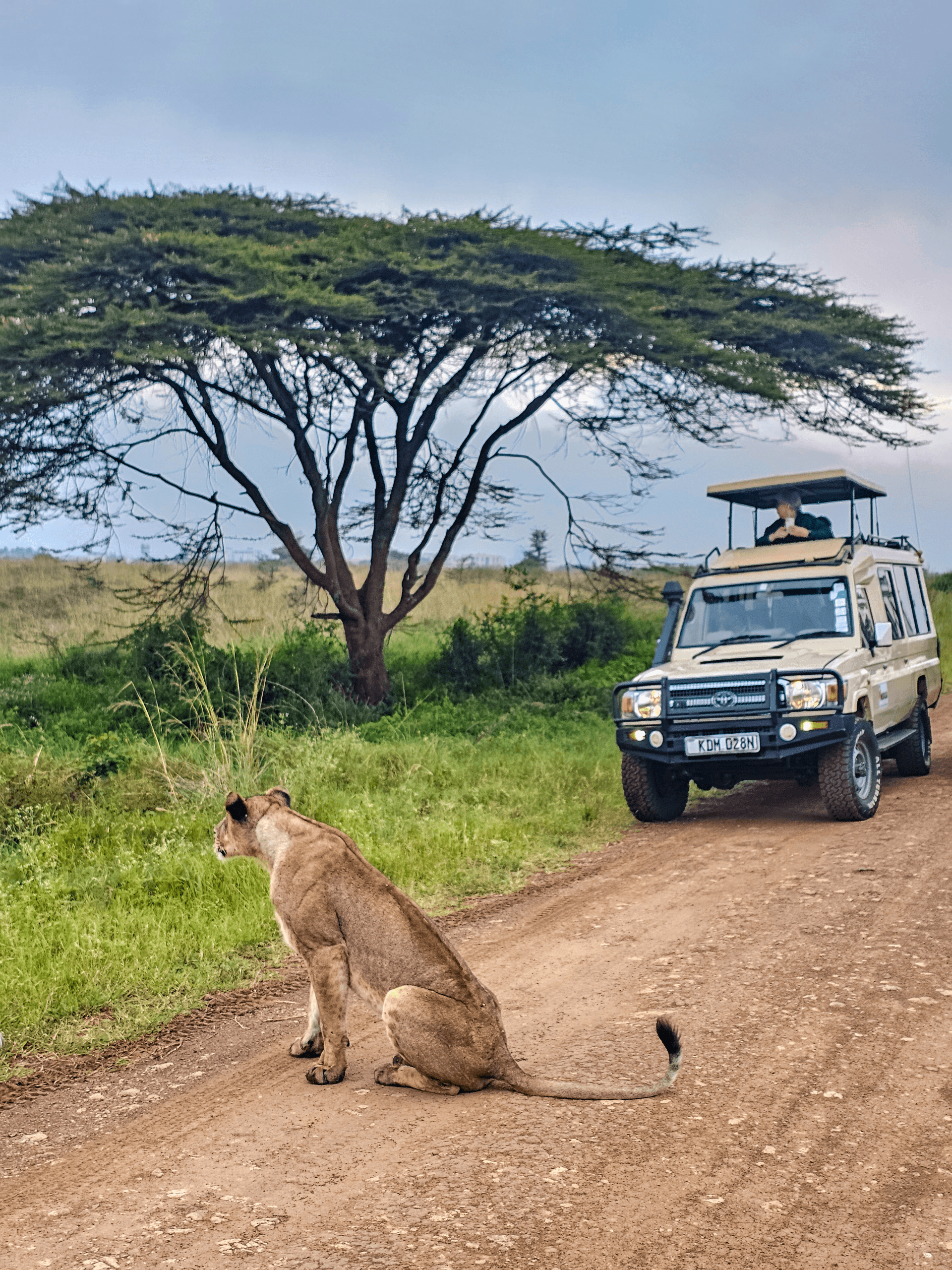It was timing the pray – by Martin Kioko